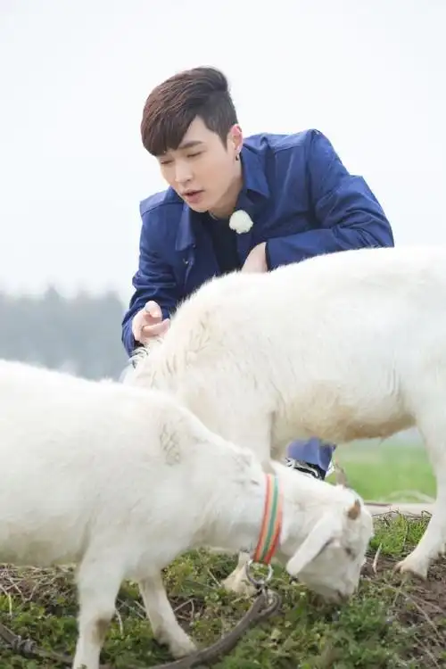 听过张艺兴唱歌看过他跳舞放羊的张艺兴你没有见过吧