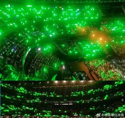 王一博和成毅粉丝晒出的两人上台时的绿海……|王一博|成毅_新浪新闻