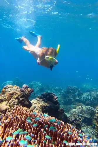 潜水的性感美女