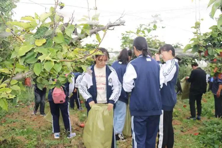 中国梦,劳动美 ——北镇中学2019级24班社会劳动实践活动