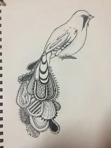 黑白线条插画 鸟羽
