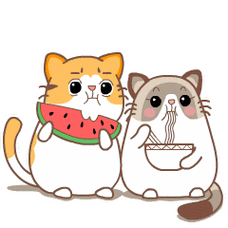 布布喵gif麦芽黄gif吃瓜群众吃泡面gif斗图gif可爱gif搞笑gif不明真相