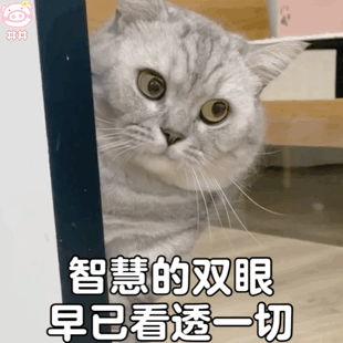 一起来"涨姿势"吧~揭秘一些电梯的冷知识接下来小铁就为各位铁粉们