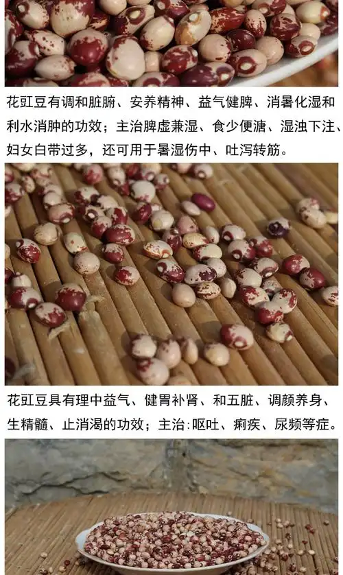 山东农家自产有机花豇豆 非红小豆 补肾花豇豆 杂粮250g满额包邮