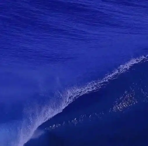 关注2021年8月6日 7:13那就再見