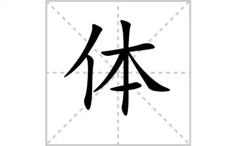 体的笔顺笔画怎么写(体的笔画,拼音,解释及成语详解)