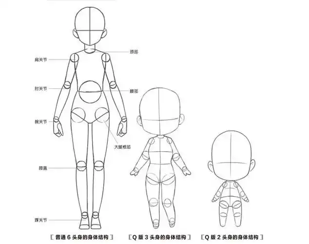 q版人物的身体结构与普通人物几乎没有区别,变化的只是身体各部位的