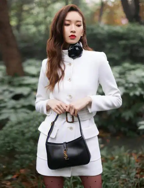 同款saint laurent 2021系列腋下包中韩不同女明星的演绎一览,刘令姿