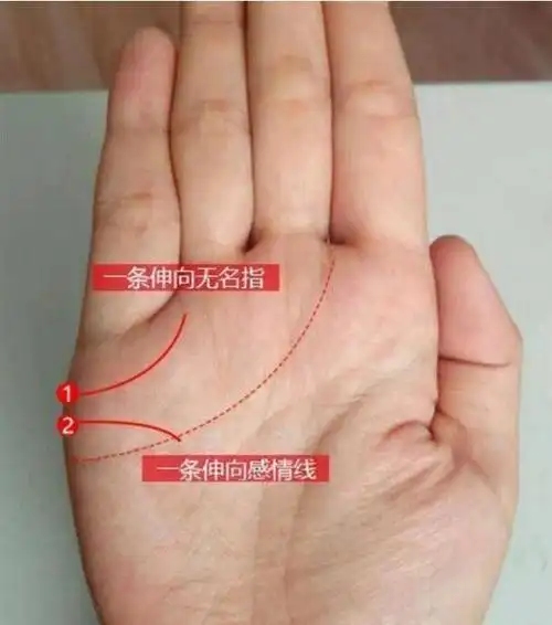 最怕生命线中断,若中断,中年必有一难,注定是苦命人