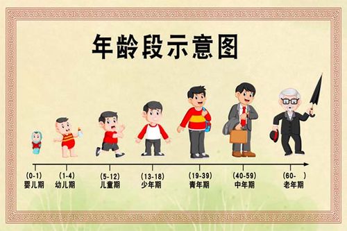 m769人生图标成长过程年龄段示意图出生到老1809海报定制印制展板