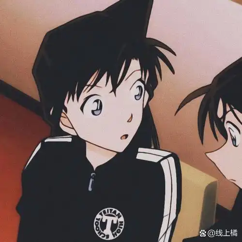 名侦探柯南丨新兰情头