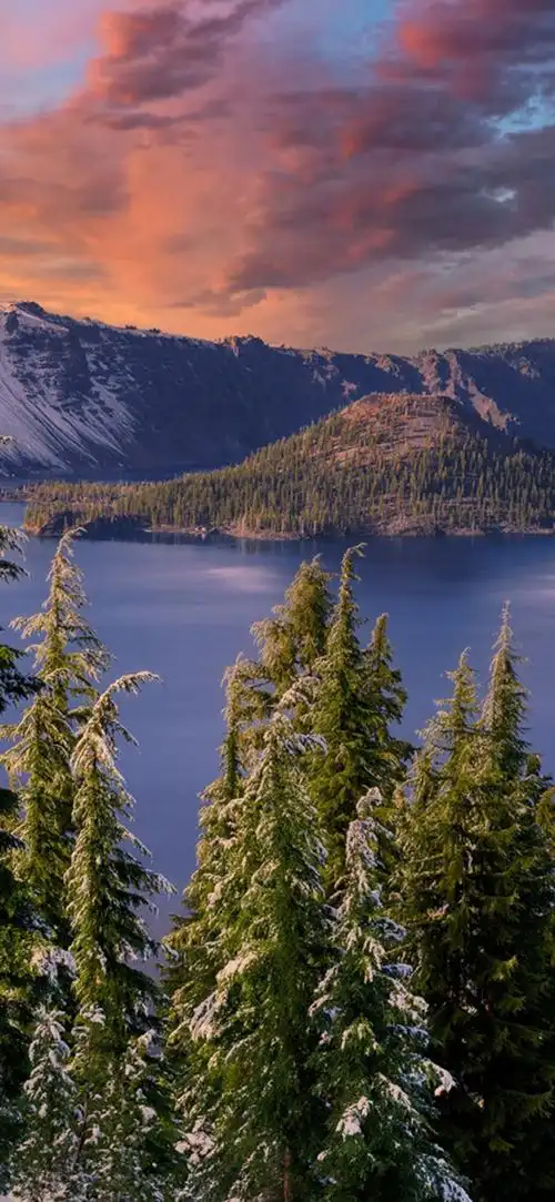 1080_2340竖版 竖屏