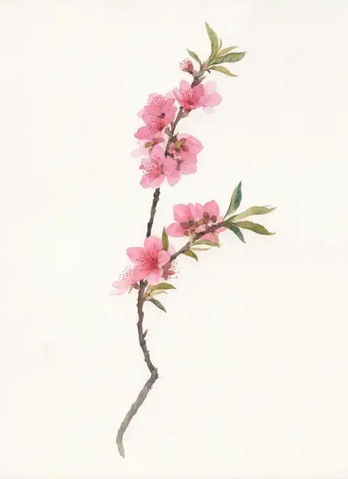 水彩桃花