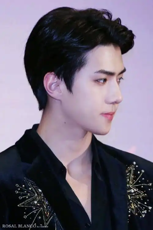 吴世勋说中文不烫嘴##美出圈