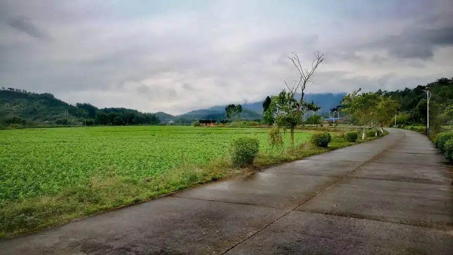 农村风景随手拍