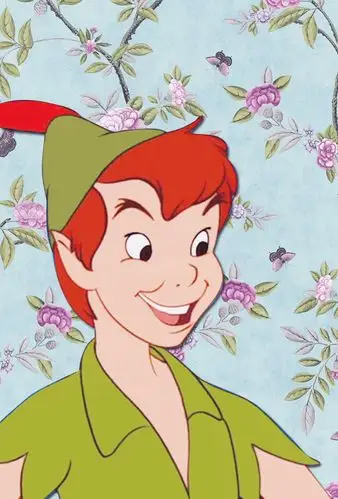 迪士尼·小飞侠壁纸