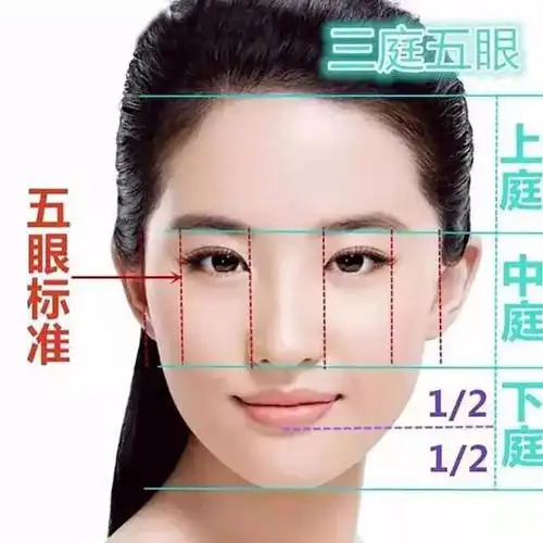 传说中的三庭五眼,四高三低,究竟怎么回事?