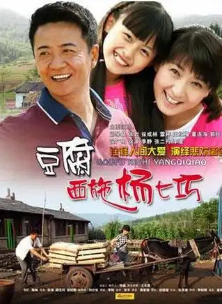 豆腐西施杨七巧 2013