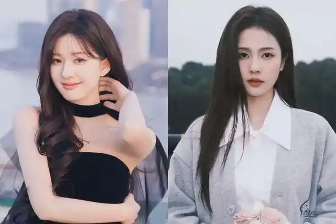 于正暗讽赵露思是「绝望的文盲」,公司一姐白鹿学历遭起底|编剧|娱乐