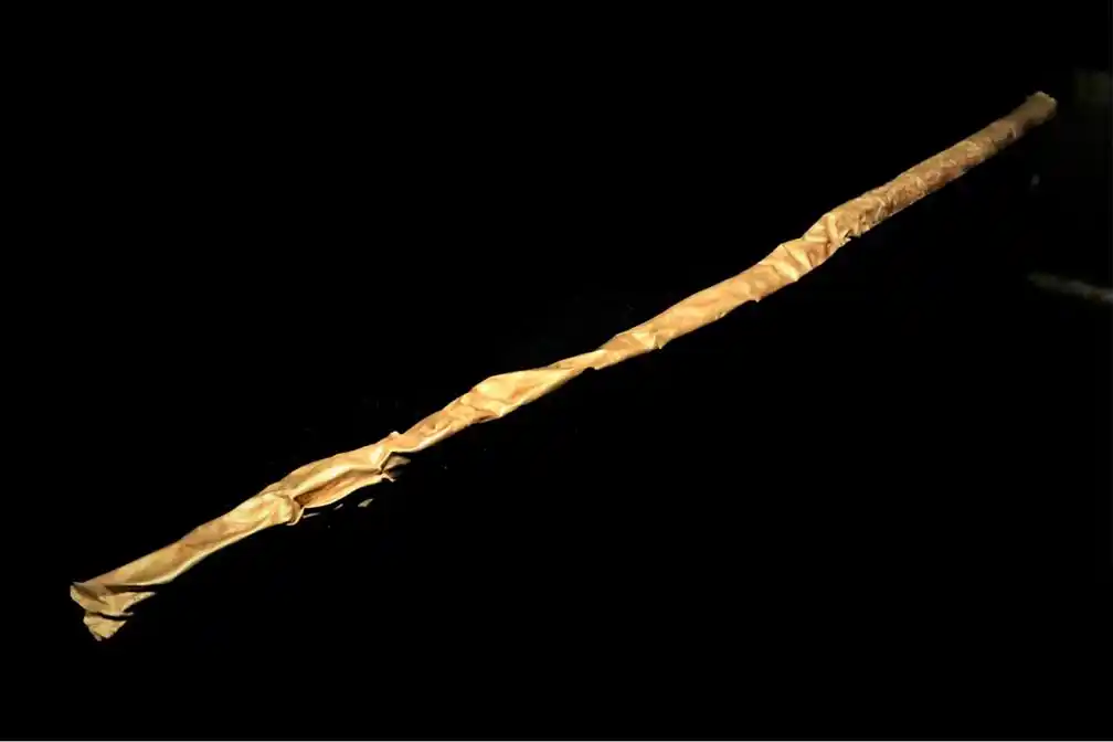 三星堆遗址出土象征王者之器的金杖.(中国网发 栗卫斌 摄)