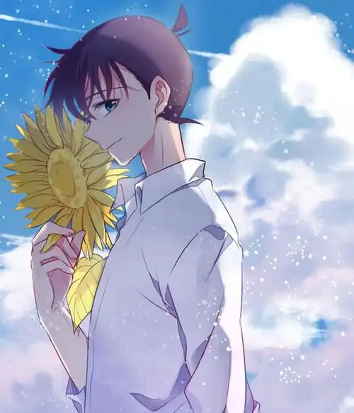 工藤新一的高清手机壁纸,把生命放在第一位的侦探!