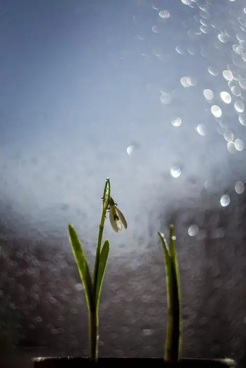 治愈系:简约唯美的时光【美图共赏】