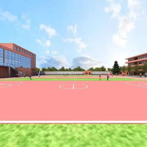 绿草茵茵的学校操场全景