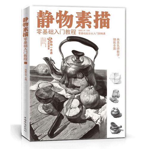 静物素描零基础入门教程 初学者美术 零基础入门 铅笔绘画素描静物