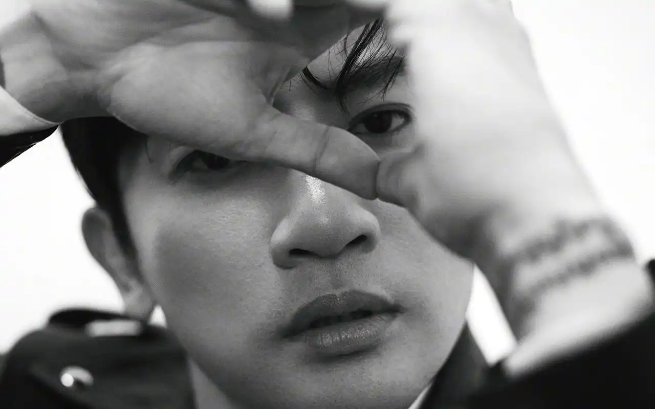 苏有朋帅气写真图片桌面壁纸