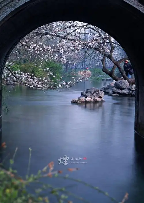 《烟雨江南》风景美图