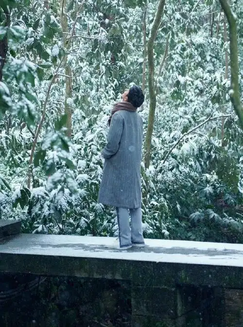 肖战##肖战冬至竹林大片