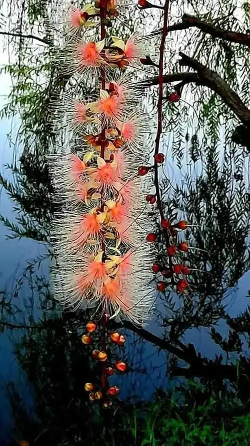 540_960竖版 竖屏