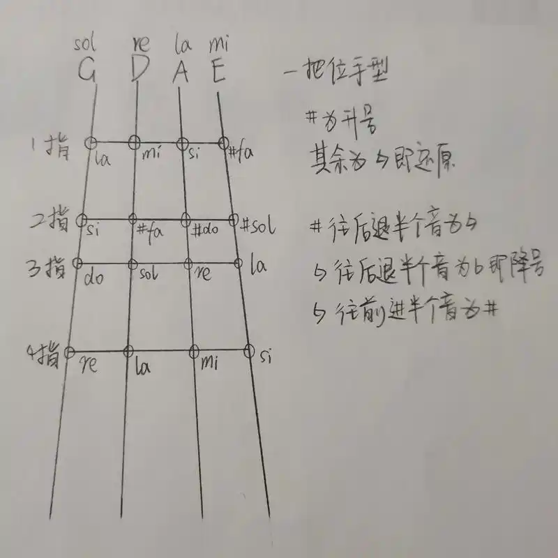 小提琴指法(一把位二把位三把位)#小提琴 #小提琴教学 #小 - 抖音