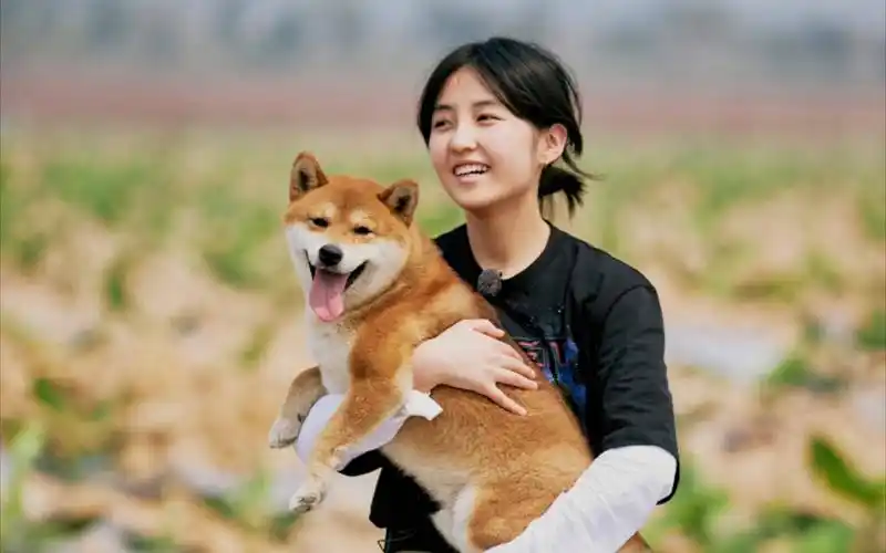 张子枫与爱宠们相爱相杀的那些年