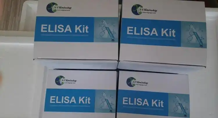 网上药店买一瓶乙烯雌酚大概需要多少钱