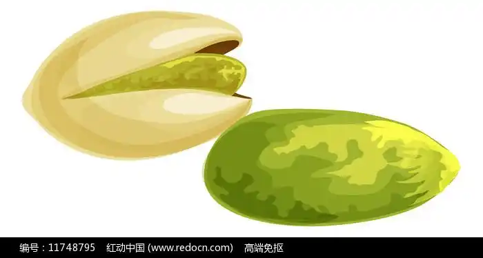 卡通带壳的开心果坚果元素