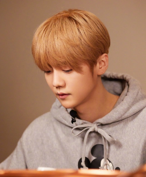 鹿晗男神形象幻灭,素颜肌肤松弛显老,才30岁就成老大叔?