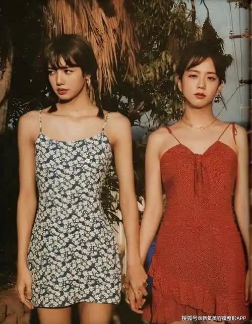 lisa和jisoo的差异很明显(仅对比身材).