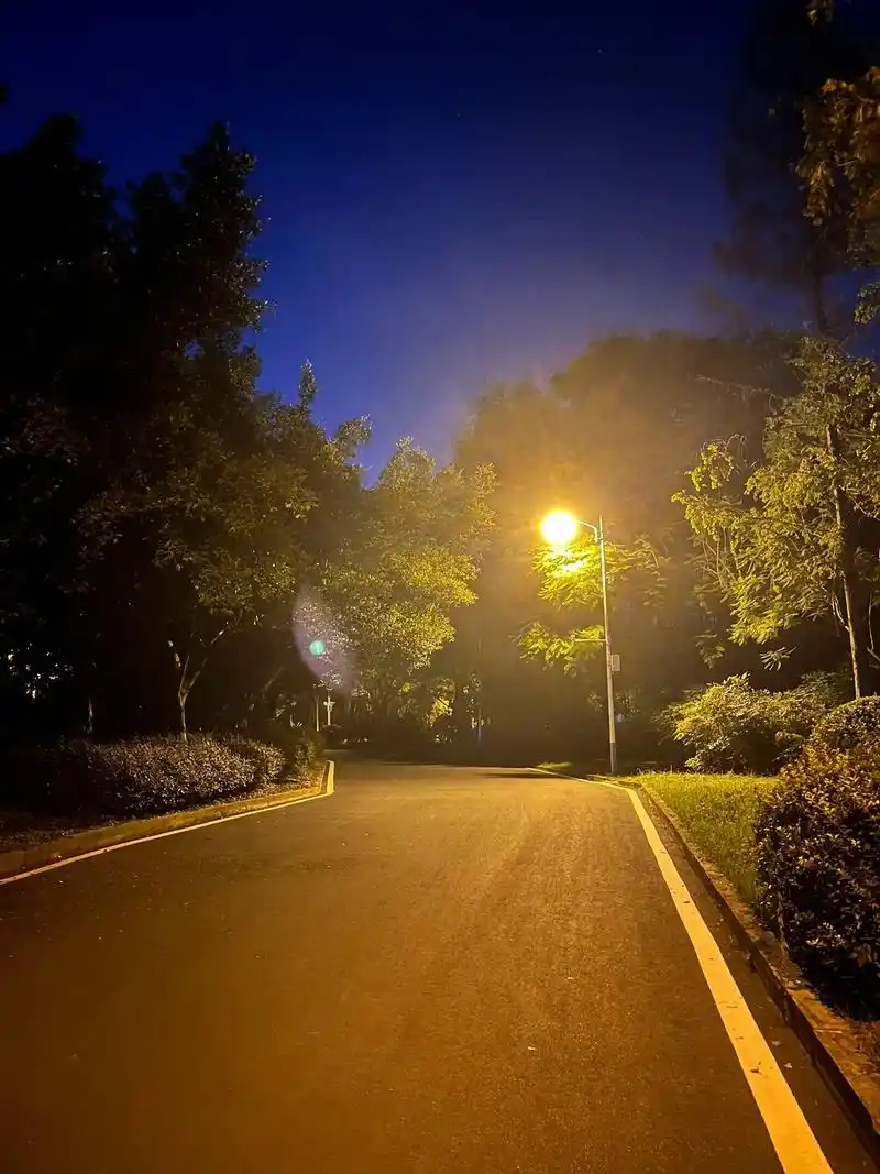路灯.为什么会拍得不一样呢?白天那么热,这会儿竟还有点冷, - 抖音