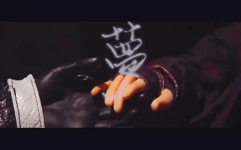 【金光布袋戏·黑白郎君x忆无心】请笃信一个梦 与你相见