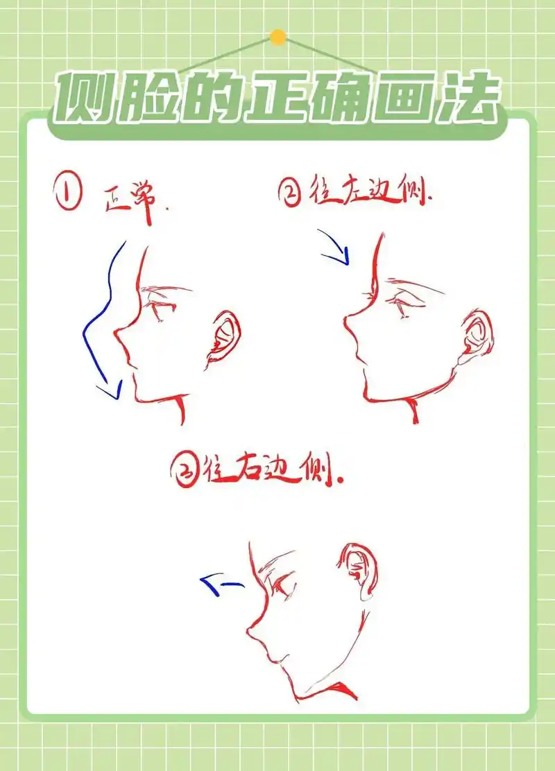 不会画侧脸的,这里有最简单的教程哦.,临摹超有用#procr - 抖音