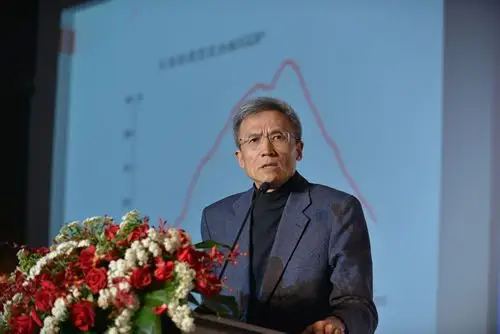 许小年:用城镇化推动消费需求靠不住