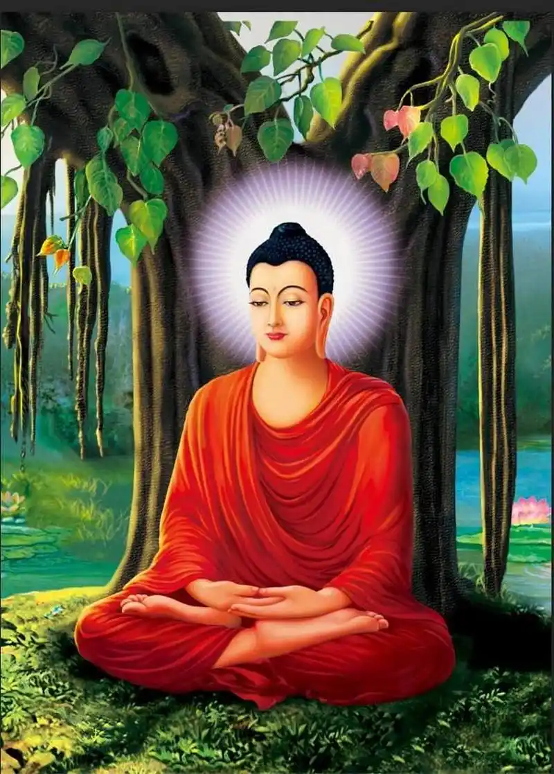 《西游记》中佛教的最高领袖叫做如来佛祖.那么释迦牟尼是如来佛吗?