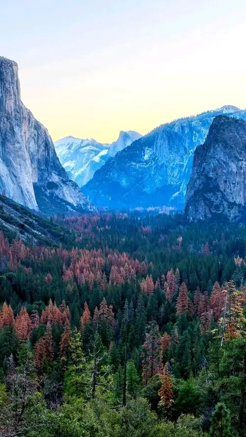 1080_1920竖版 竖屏