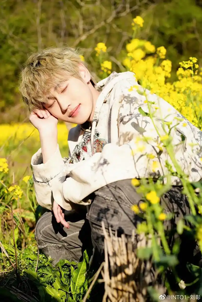 刘彰 #ak刘彰 #我的神仙爱豆 #真的超爱这个少年 #向 - 抖音