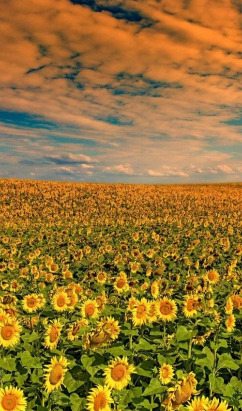 2021激发信心和力量的句子经典励志积极向上