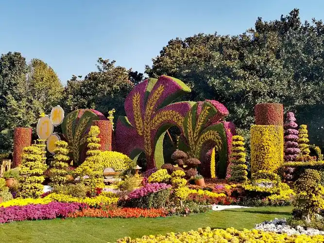 "森林公园花展"全景揽胜