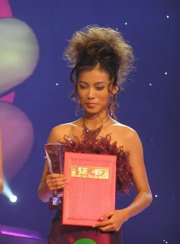 图文梅艳芳菲揭晓梅爱芳模仿者第二名