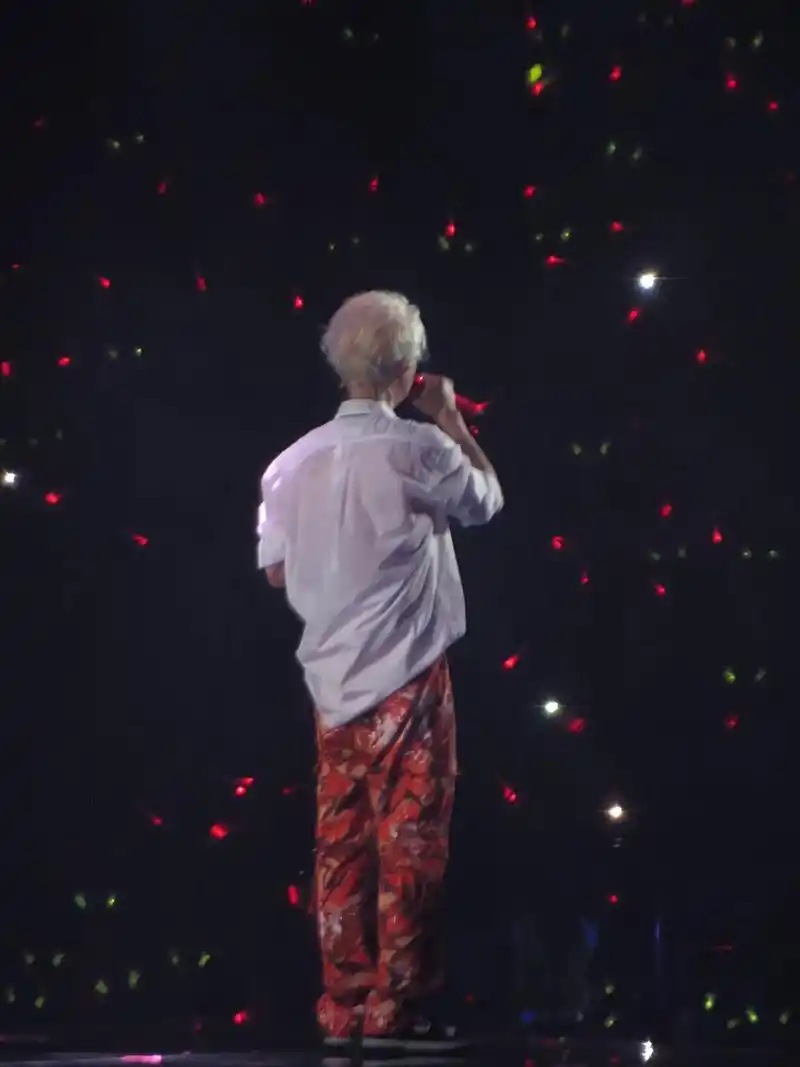 怎么会有人连背影都这么好看 #鹿晗 #鹿晗三巡 #一眼沦陷 - 抖音