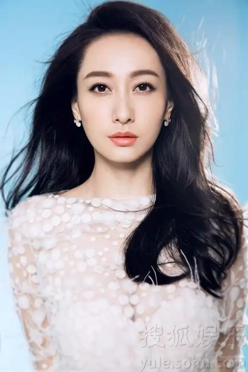 董维嘉,中国内地女演员,主持人,1984年10月14日出生于陕西西安.